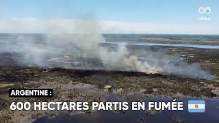 Un gigantesque incendie a touché le parc national du Ciervo de los Pantanos