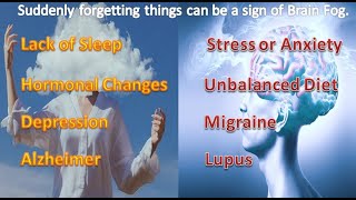 Brain Fog Suddenly forgetting things can be a sign of brain fog, what could be the reasons for this