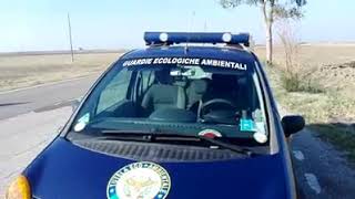 #Video denuncia  provinciale 77 da Cerignola a #Manfredonia, in un area di sosta abbandono di rifiut