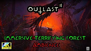 "Outlast 2: Terrifying Forest Ambience - Immerse Yourself in the Fear!"