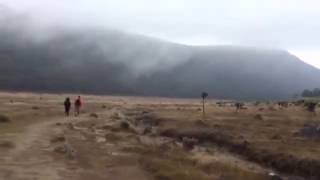 Arkhipelagos - Can't Believe We're Finally at Alun Alun Surya Kencana! | Mount Gede, West Java