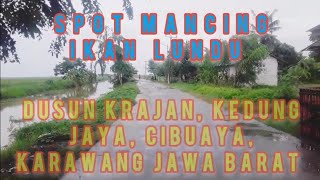 spot mancing ikan lundu di sungai Apur, Dusun Krajan desa Kedung jaya, cibuaya, Karawang Jawa Barat