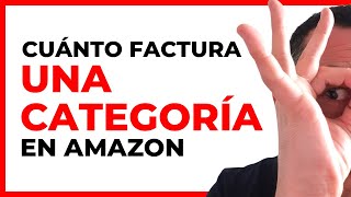 Cuánto factura una categoría en Amazon España?