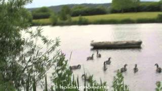 Common Sandpiper, Oystercatcher and Whisky