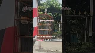 kenari gacor hormat bendera merah putih  #shorts #kemerdekaan #kenari #birds#viralvideo