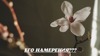 Его истинные намерения сейчас к вам???