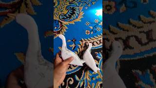 CARA BUAT PATUNG RUAK RUAK DARI GABUS/STYROFOAM #tutorial #ruakruak #hunting