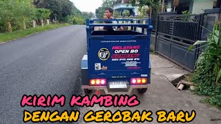 Kirim Kambing Ke Doko Blitar Pakai Gerobak Baru