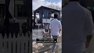 ☕️ Leo la தளபதி விஜய் Coffee Shop in Kashmir | Sifar Cafe Pahalgam, Srinagar |  Recreation #shorts