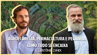 AGROFLORESTA, PERMACULTURA E PECUÁRIA: COMO TUDO SE ENCAIXA - TERRACAST #17