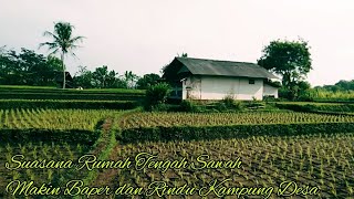 Melihat Suasana Rumah Jaman Dulu Tengah Sawah, Makin Kangen Masa Dulu