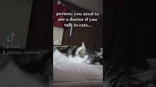 I talk to cats...