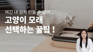 냥집사라면 필수! 고양이 모래 선택법 3가지만 알아두세요