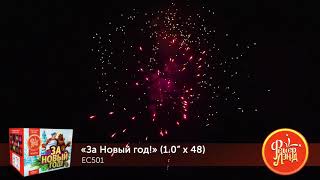 За новый год EC501