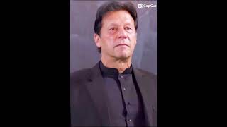 Yes 💯 Imran Khan 🤩 #viral #youtube #shortvideo #imrankhanpti #ptizindabad