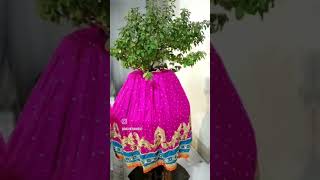 #trendingshorts #beautiful #increaseviews # tulsi vivah