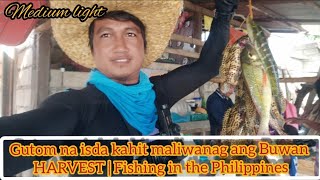 Magandang kagatan HARVEST shore casting #fishingadventure Philippines ML EP_15