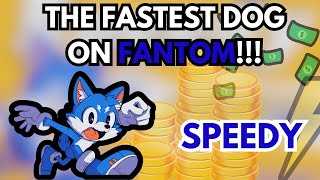 BEST FANTOM MEME OUT THERE (SPEEDY) #memecoin #altcoin #speedy #fantom