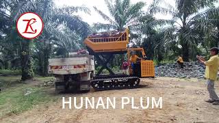 Hunan Plum/Plum Mewah crawler dumper scissor lift at palm plantation