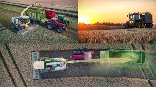 GPS häckseln bis in die Nacht | KRONE BIG X 650 | 3x JOHN DEERE | 2x CASE