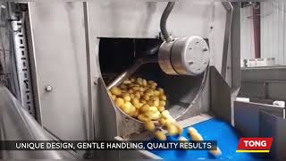 Potato, Carrot & Root Vegetable Polishing with the advanced TPS-Pro Polisher from Tong Engineering