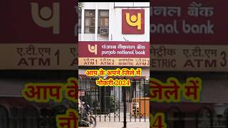 PNB Bank Apprentice 2024 ||#shorts