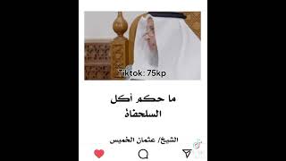 حكم أكل السلحفاة