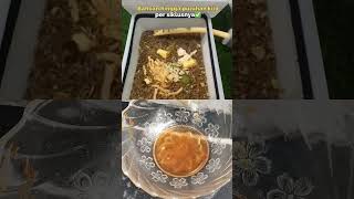 Magot mengurai sisa makanan