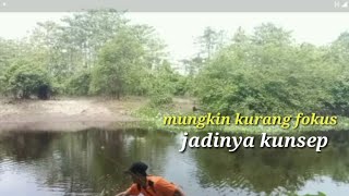 Mungkin kurang fokus jadinya kunsep!!Casting ikan gabus