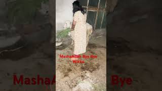 #mashallah #heavybulls #cow #funny #Minsa Mubashar Rana 😇😇😇🥰🥰🥰😭😭