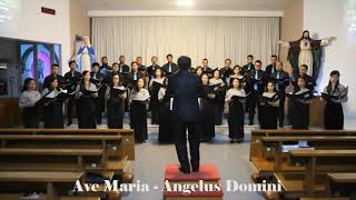 Ave Maria (Franz Biebl) - Exsultate Justi In Domino Choir