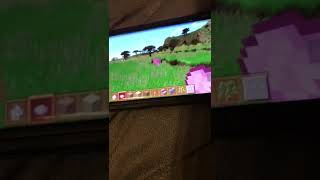 PinkSheep Found￼￼