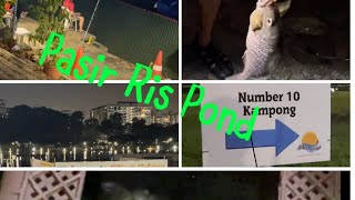 TRAVEL INFO-Night Fishing at Pasir Ris Pond-23fishes landed🫶🫶🫶D’Best fishing