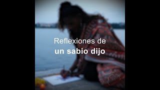 Reflexiones de un sabio dijo