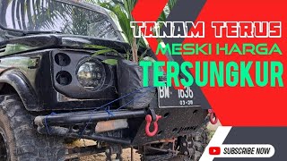 TANAM TERUS | Buah melimpah harga tersungkur