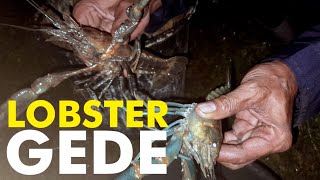 Cara Mudah Mancing Lobster Air Tawar, Ukuran Jumbo Terangkat!