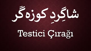 Testici Çırağı   /   شاگرد کوزه گر