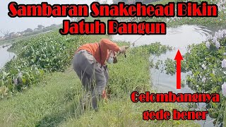 Casting Snakehead | Sambarannya Bikin Jatuh Bangun