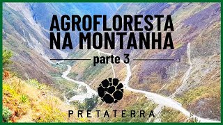 DESAFIO NO DECLIVE | Agrofloresta nas Montanhas (parte 3)