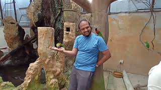 Playing with birds in Farm in the city, Kuala Lumpur, Malaysia