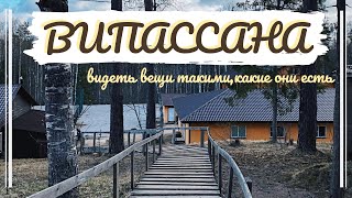 ВИПАССАНА || как прошли мои 10 дней молчания и 100 часов медитаций