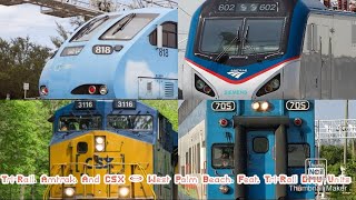 Tri-Rail, Amtrak, And CSX Action @ West Palm Beach