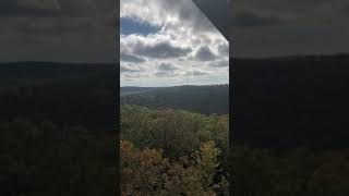 Cook Forest Fire Tower