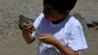 Son Catches Granite Spiny Lizard