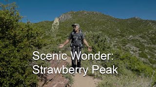 Strawberry Peak