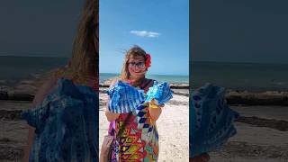 Isla Holbox💙Quintana Roo México🇲🇽 #youtubeshorts #shortsfeed #shortvideo #shorts #short #subscribe