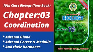 Adrenal gland class 10 | Biology class 10 chapter 3| Class 10 new biology book