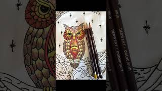 Whooo! Look! #fabricpainting  #coloringart #fabricpaintingclasses #embroideryart