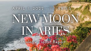 ARIES NEW MOON 2022 - Working through the fear of paving your own path in life!  **TRANSIT REPORT**