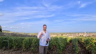 Domaine Buisson Charles, Meursault